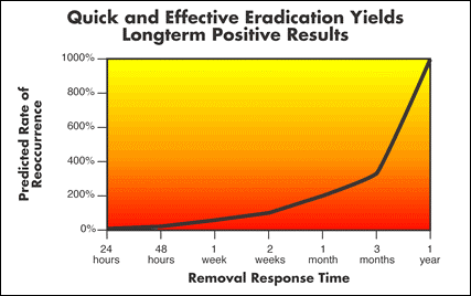 Quick and Effective Eradication Yields Longterm Positive Results