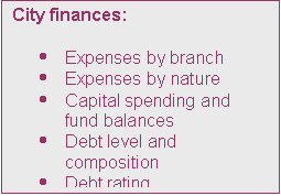 Text Box: City finances:

	Expenses by branch
	Expenses by nature 
	Capital spending and fund balances
	Debt level and composition
	Debt rating
