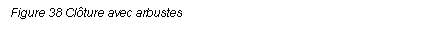 Text Box: Figure 38 Clture avec arbustes