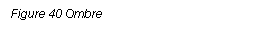 Text Box: Figure 40 Ombre