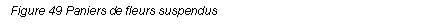 Text Box: Figure 49 Paniers de fleurs suspendus