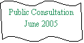 Double Wave: Public Consultation 
June 2005
