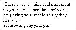 Text Box: Theres job training and placement programs, but once the employers are paying your whole salary they fire you.
Youth focus group participant
