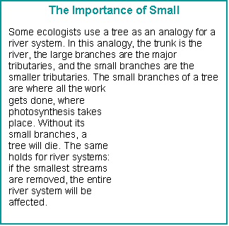 Text Box: The Importance of Small

Some ecologists use a tree as an analogy for a river system. In this analogy, the trunk is the river, the large branches are the major tributaries, and the small branches are the smaller tributaries. The small branches of a tree are where all the work
gets done, where 
photosynthesis takes
place. Without its 
small branches, a 
tree will die. The same
holds for river systems:
if the smallest streams 
are removed, the entire
river system will be 
affected.



