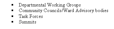 Text Box: §	Departmental Working Groups
§	Community Councils/Ward Advisory bodies
§	Task Forces
§	Summits

