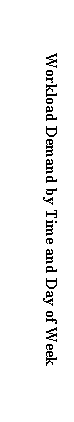 Text Box: Workload Demand by Time and Day of Week